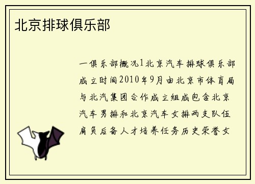 北京排球俱乐部